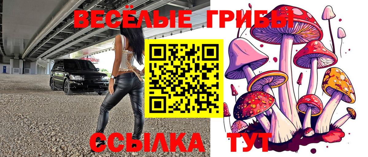 Галлюциногенные грибы GOLDEN TEACHER  Галлюциногенные грибы Cubensis  Вход с VPN  Чайковский 